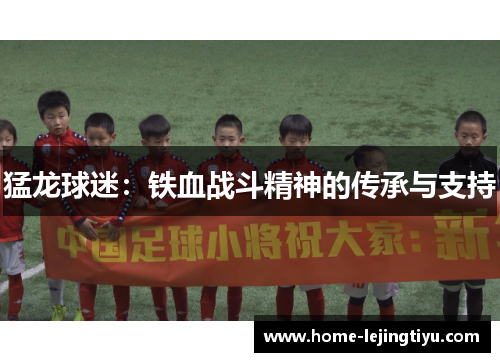 猛龙球迷：铁血战斗精神的传承与支持